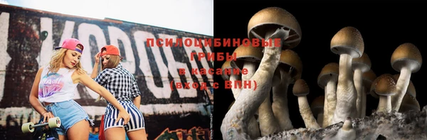 героин Вяземский