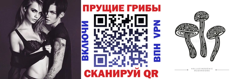 Галлюциногенные грибы прущие грибы  Щёлково 